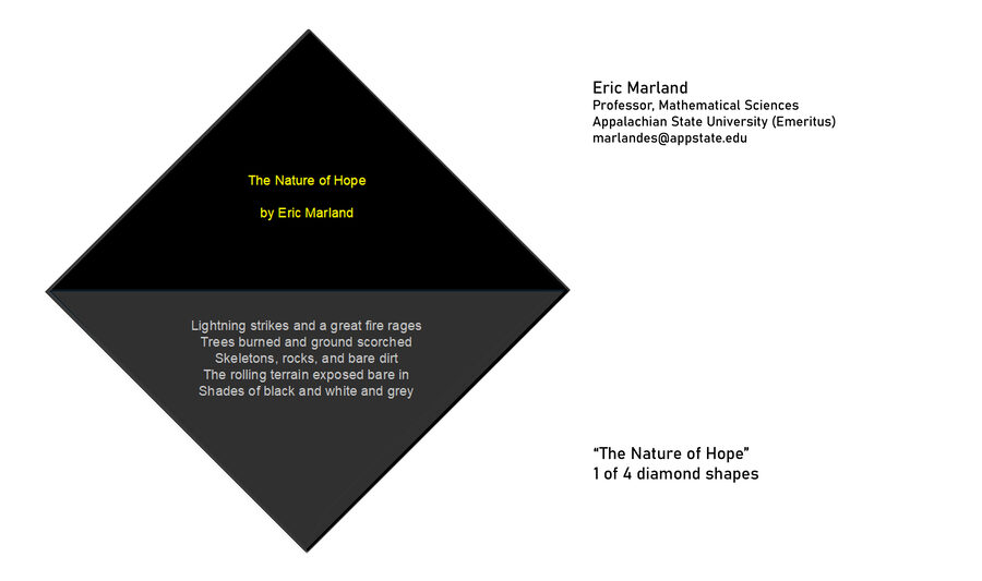 The Nature of Hope (1 of 4) by Eric Marland