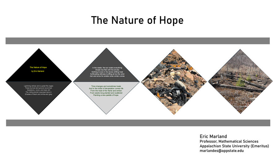 The Nature of Hope complete series by Eric Marland