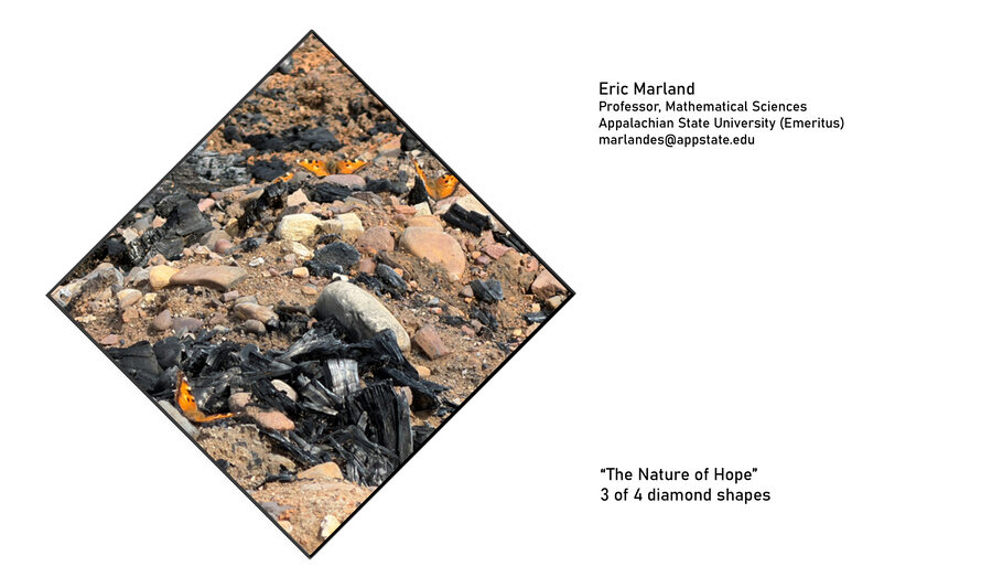 The Nature of Hope (3 of 4) by Eric Marland