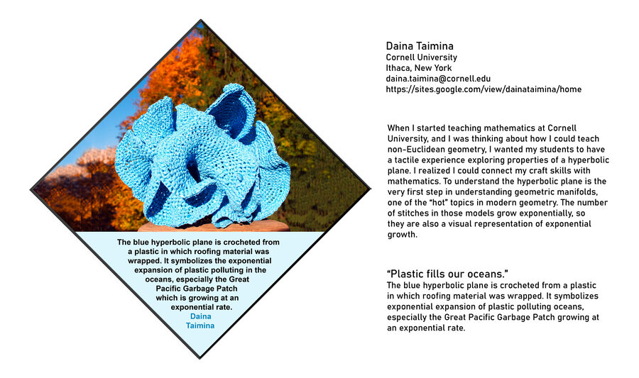 Plastic Invasion 2 by Daina Taimina
